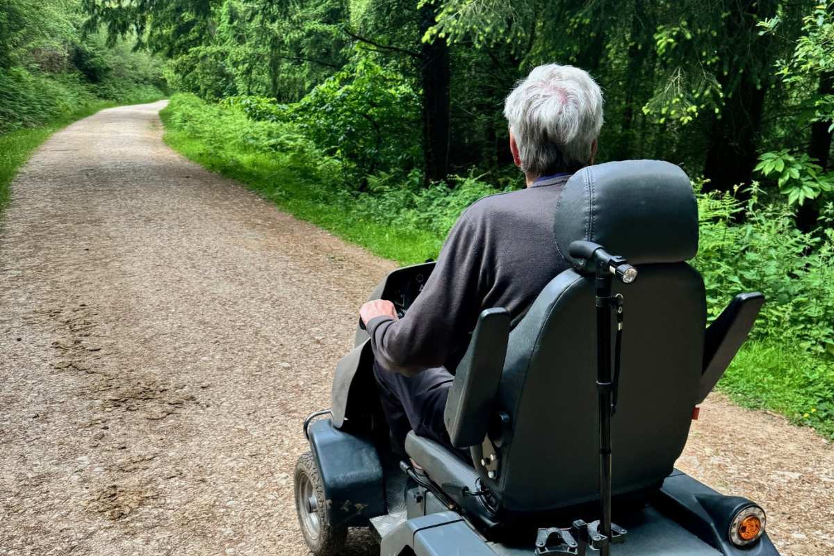 Peter drives the Tramper along a sweeping forest path surrounded by greenery